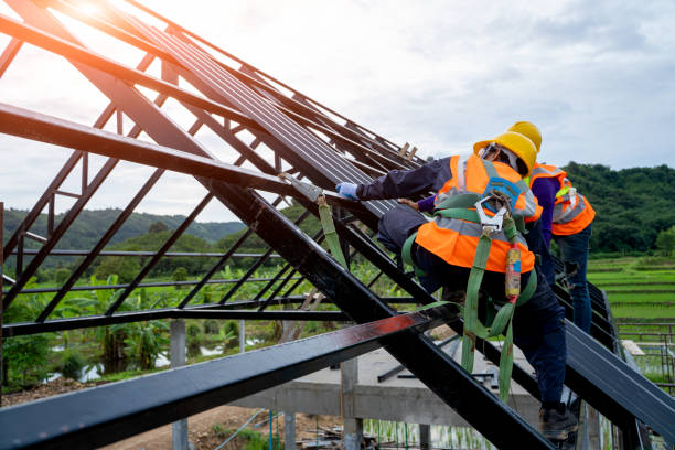Best Roof Leak Repair  in Pine Manor, FL