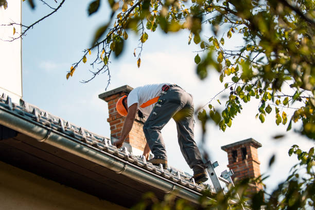 Residential Roof Replacement in Pine Manor, FL