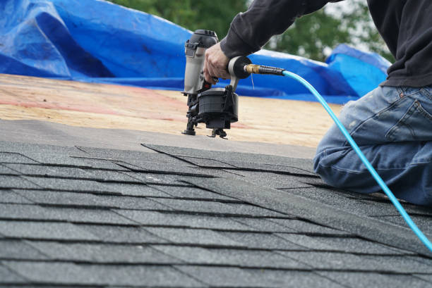 Best Storm Damage Roof Repair  in Pine Manor, FL