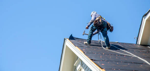 Roof Waterproofing Services in Pine Manor, FL